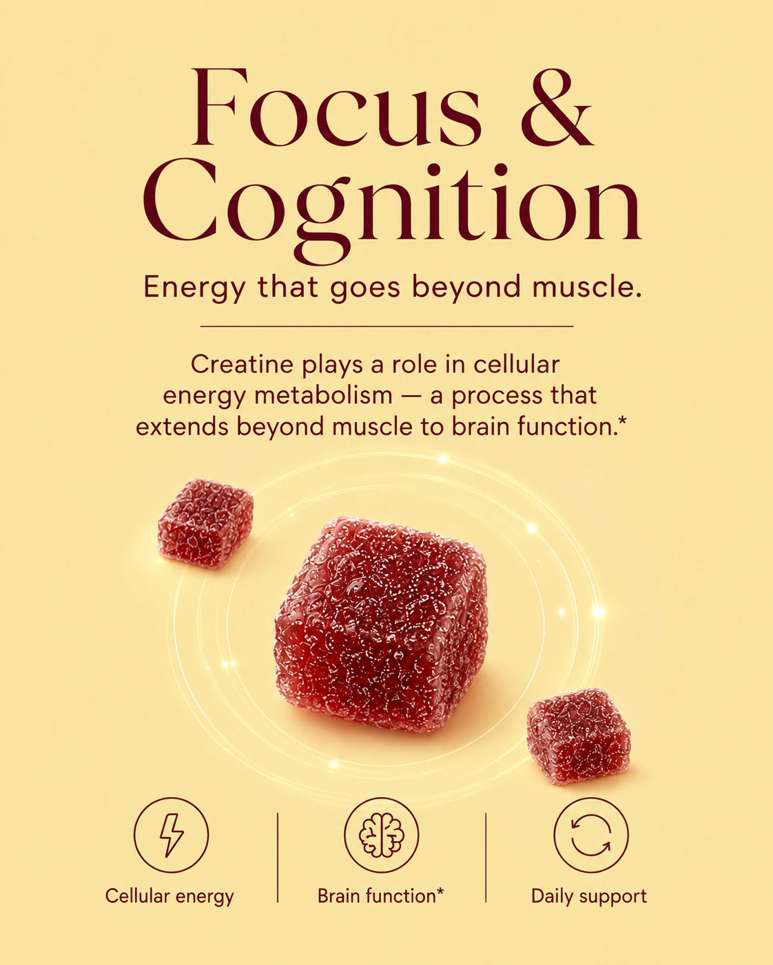 Focus and cognition — creatine plays a role in cellular energy metabolism that extends beyond muscle to brain function