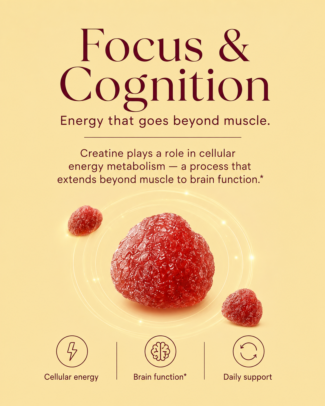 Focus and cognition — creatine plays a role in cellular energy metabolism that extends beyond muscle to brain function
