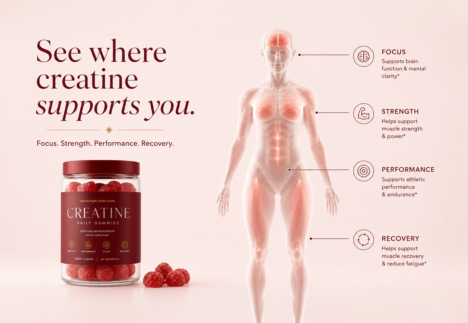 See where creatine supports you — focus, strength, performance and recovery